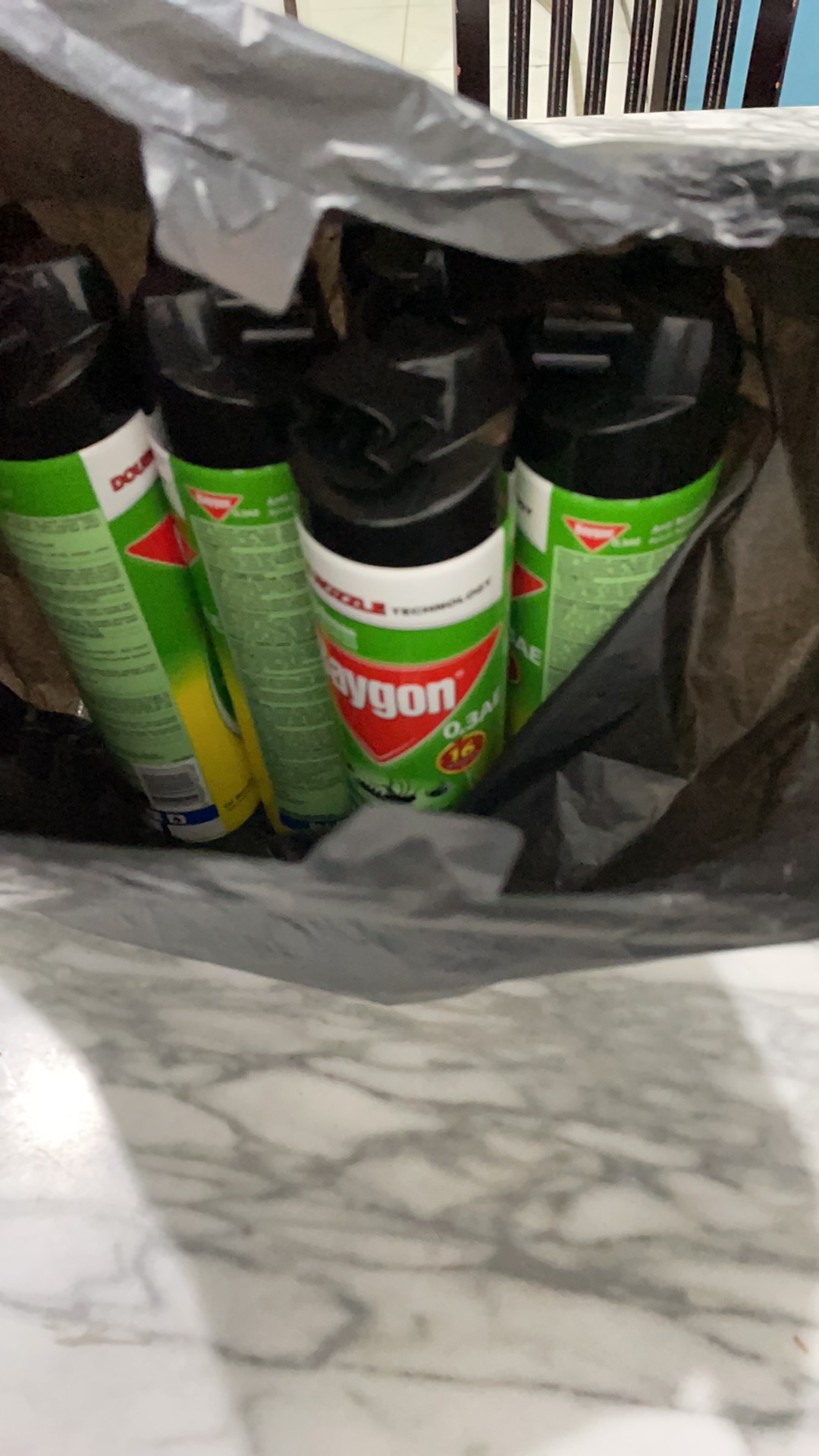 Baygon 600ml Citrus Fresh, Flower Garden 600ml (khusus Gojek Surabaya)/toko Makmur Online