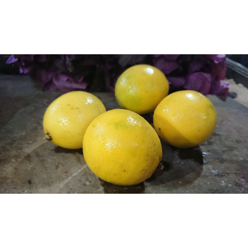 

Lemon California
