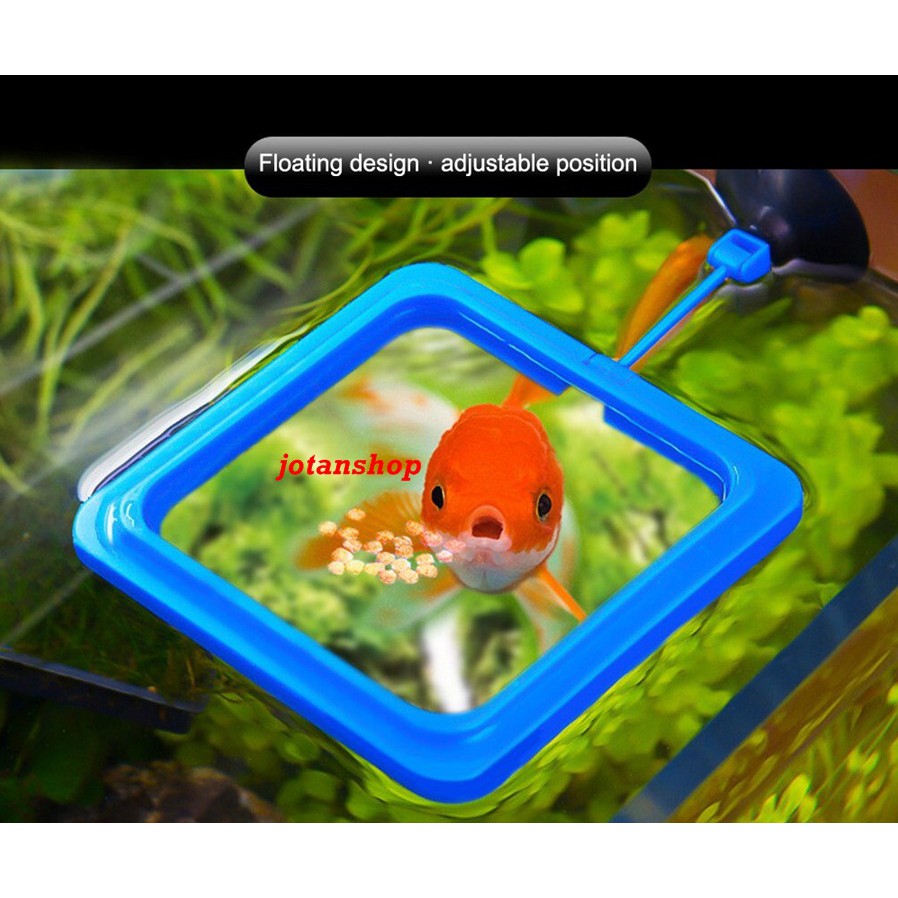 FEEDING RING FLOATING Alat Tempat Makan Pakan Ikan Mengapung aquarium