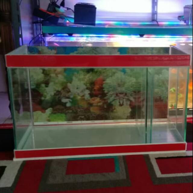 Aquarium murah 60×30×35