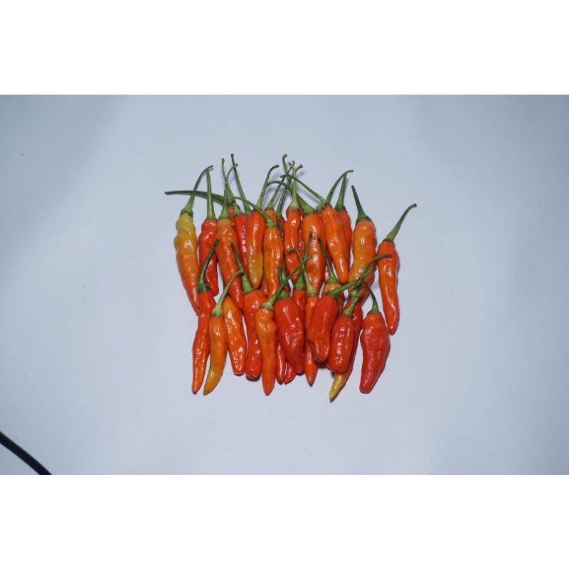 

cabe rawit merah 100gr/ sayuran segar bandung fresh