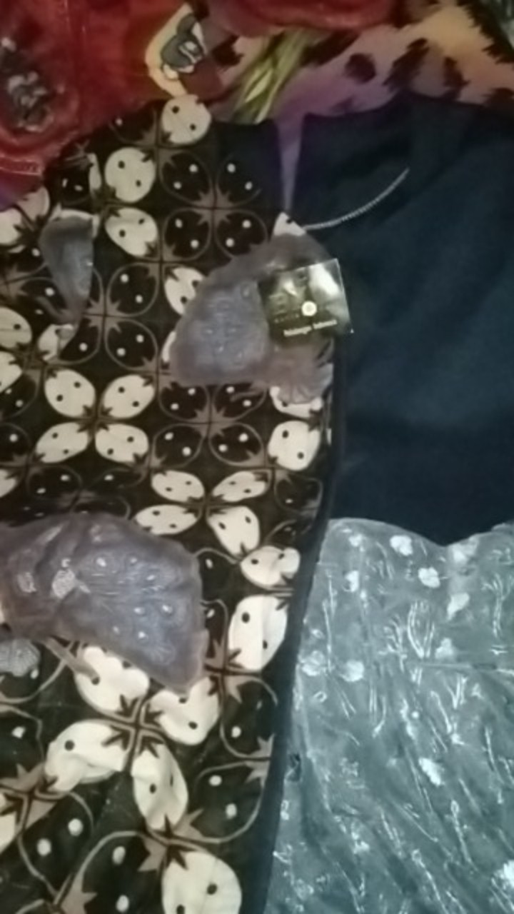 Atasan Batik Blouse Wanita Shabrinablouse Sabrina Shabrina Tile Atasanwanita Atasanbatik Avora