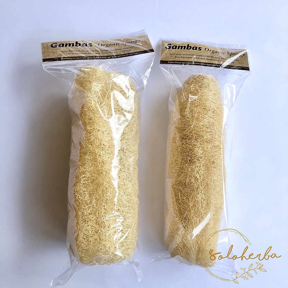 Organic Sponge Loofah | Spons Organik Gambas Premium - Besar