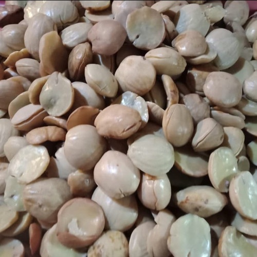 

PASAR SEGAR - JENGKOL REBUS 250GR