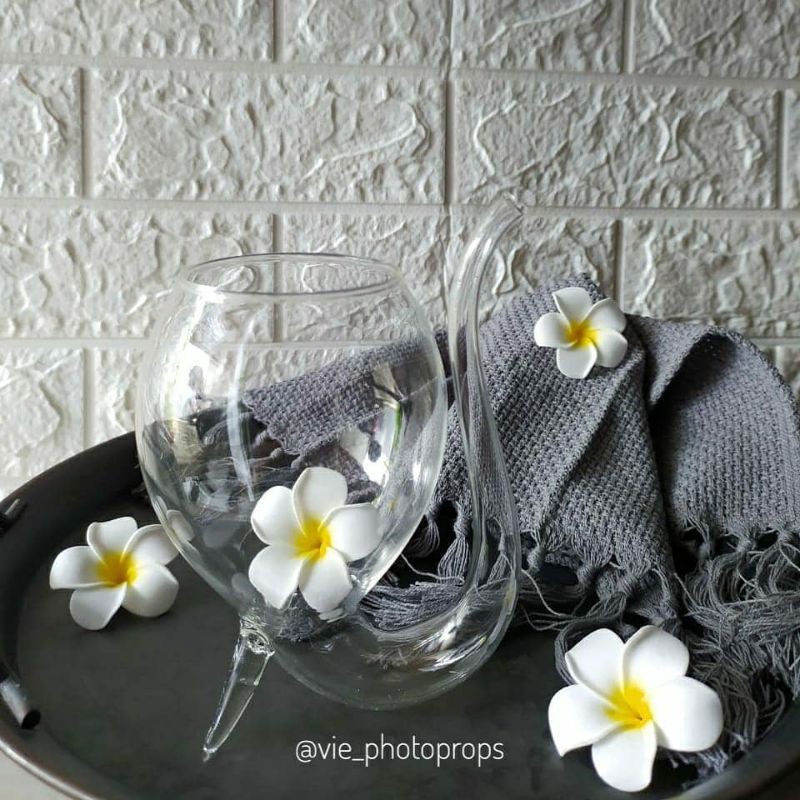 Gelas Balerina Gelas Jus Kaca Unik Props Foto Properti Fotografi