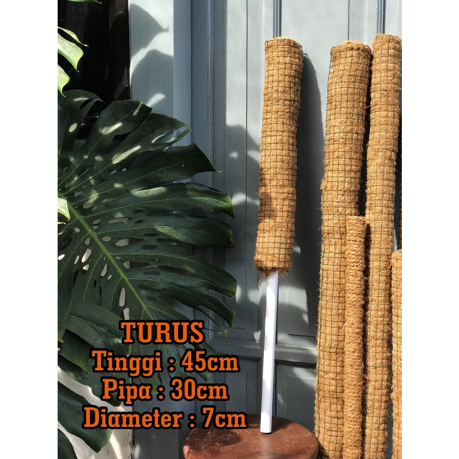 Turus Pipa Sabut Kelapa diameter 7cm tinggi 75cm