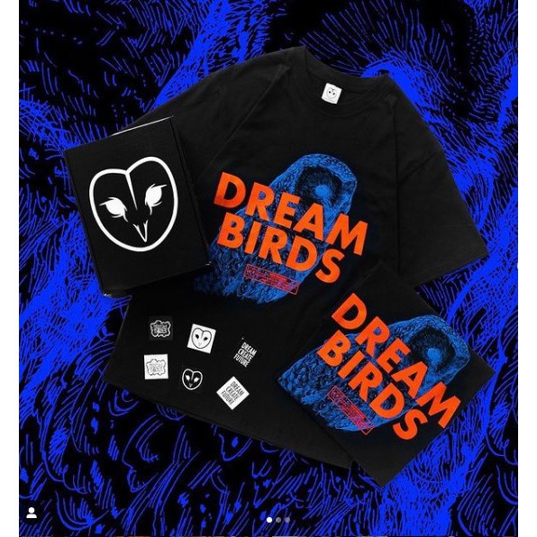 KAOS DREASMBIRDS | CRYPTICAL