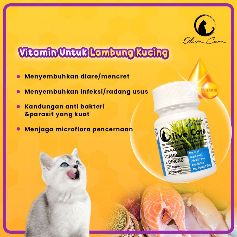 Olive Care Ecer Vitamin Kucing Masalah Pencernaan Atasi Diare, Mencret dan Infeksi Usus