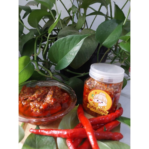 

Sambal Jumoe cumi