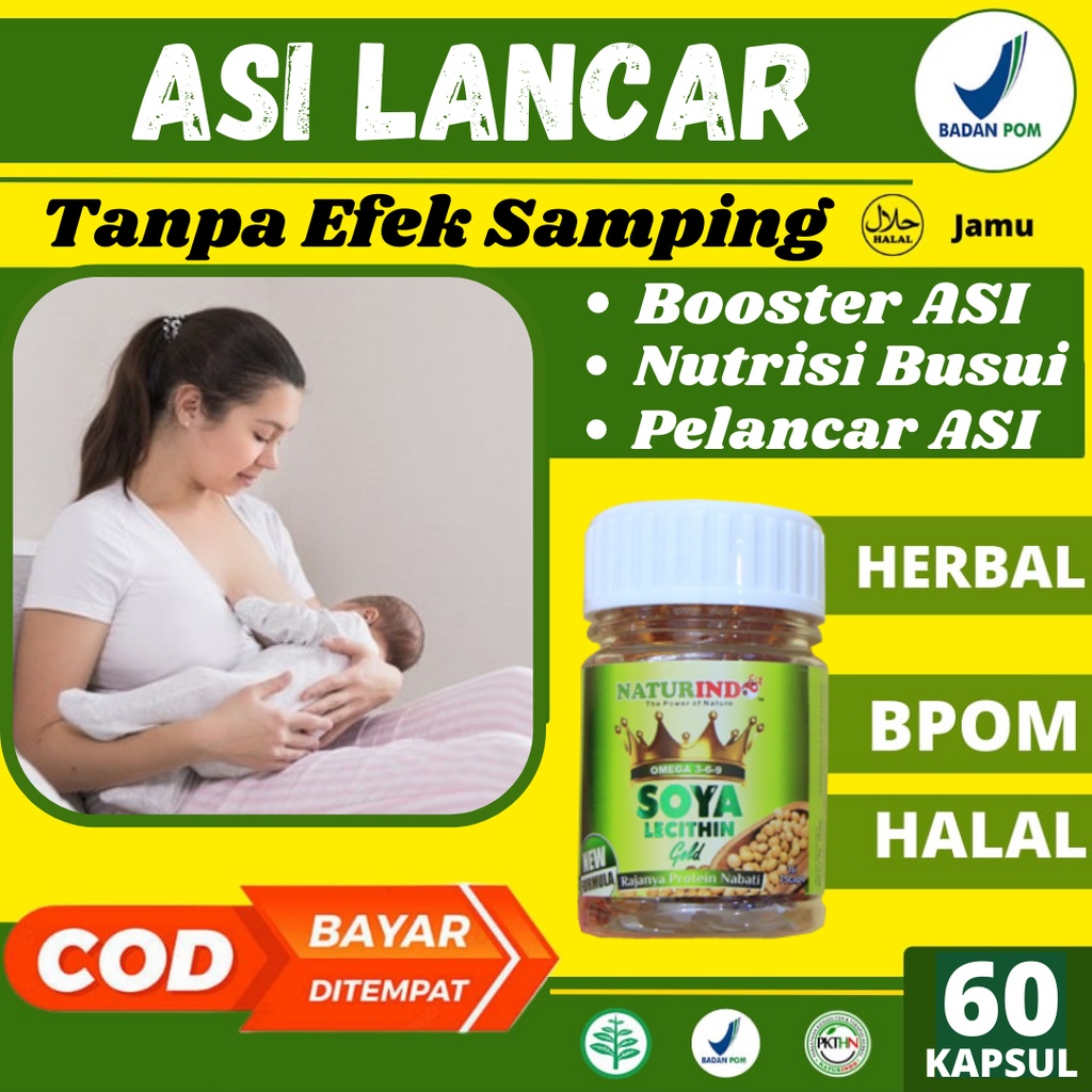 Obat Herbal Pelancar Asi Ampuh Nutrisi Ibu Hamil Herbal