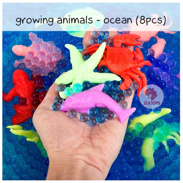 Zoetoys Waterbeads &amp; Growing Animal High Quality / Hewan Hydrogel Orbeez | Sensory Toys