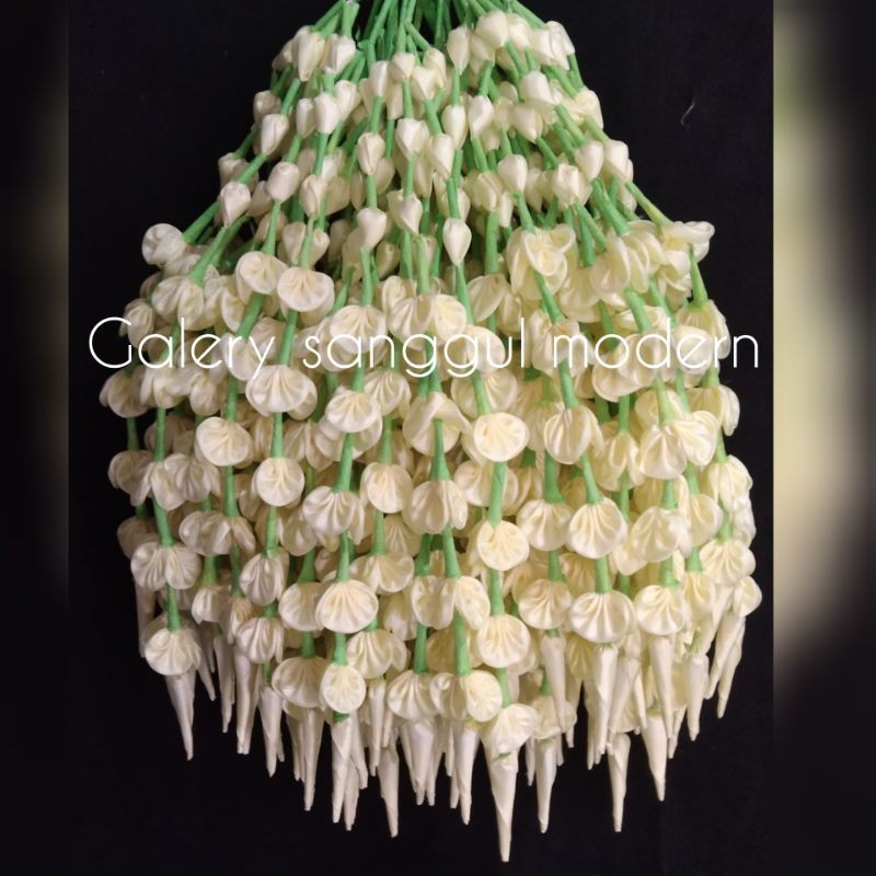 melati Jurai mekar 20cm