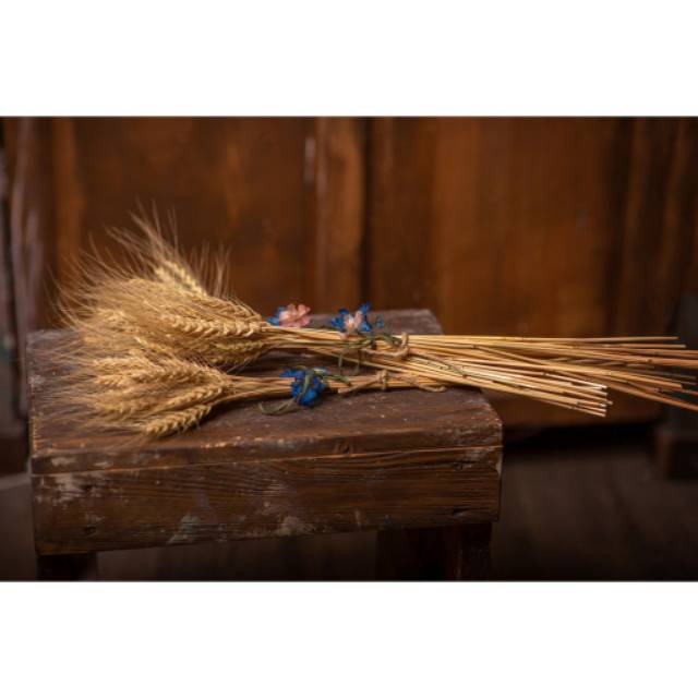 Terbaru 10 PCS GANDUM KERING DEKORASI HIASAN Limited