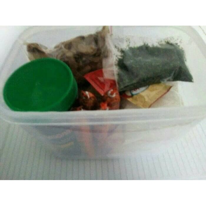 

DISKON JUAL BAHAN TAKOYAKI LENGKAP KELUARGA, ISI: TEPUNG , KATSUOBUSHI, SAUS !