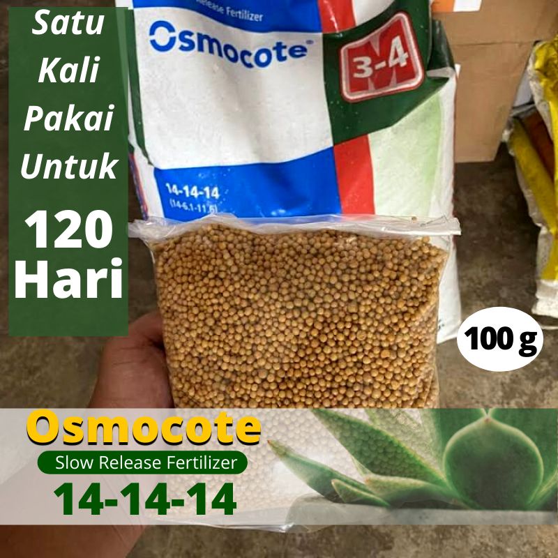 Osmocote / Dekastar 14-14-14 Pupuk Tanaman Slow Release Kemasan Repack 100gram | Pupuk Aglonema, Mon