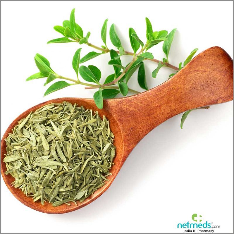 

Dried daun thyme leaves timi kering bumbu daging herbal herbs