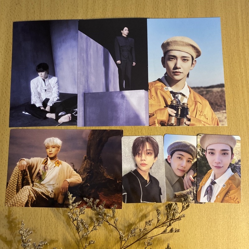 PHOTOCARD PC ALBUM SEVENTEEN OFFICIAL PC FACE THE SUN FTS POST CARD JOSHUA WONWOO JEONGHAN SCOUPS