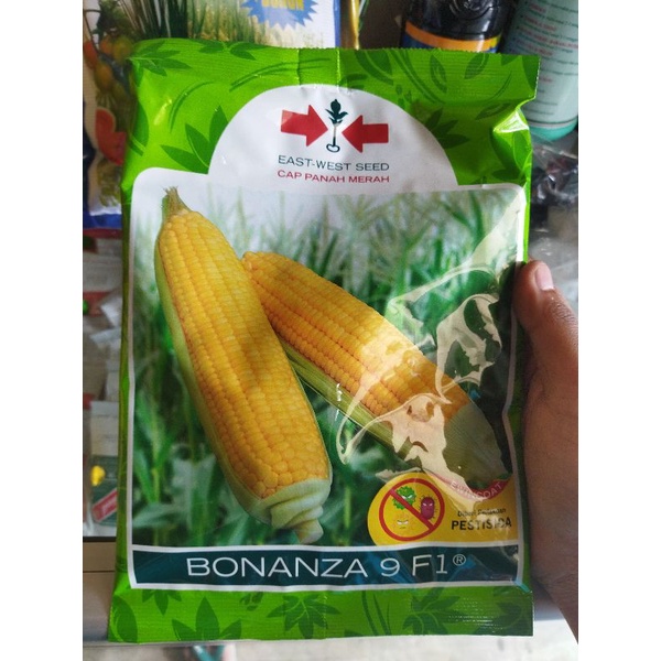 BENIH JAGUNG MANIS BONANZA 9 F1 ( ISI : 1.800 BUTIR)