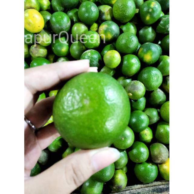 Jual Jeruk Peras 1kgbuah Segar Bandungnuri Fruits Indonesiashopee Indonesia 