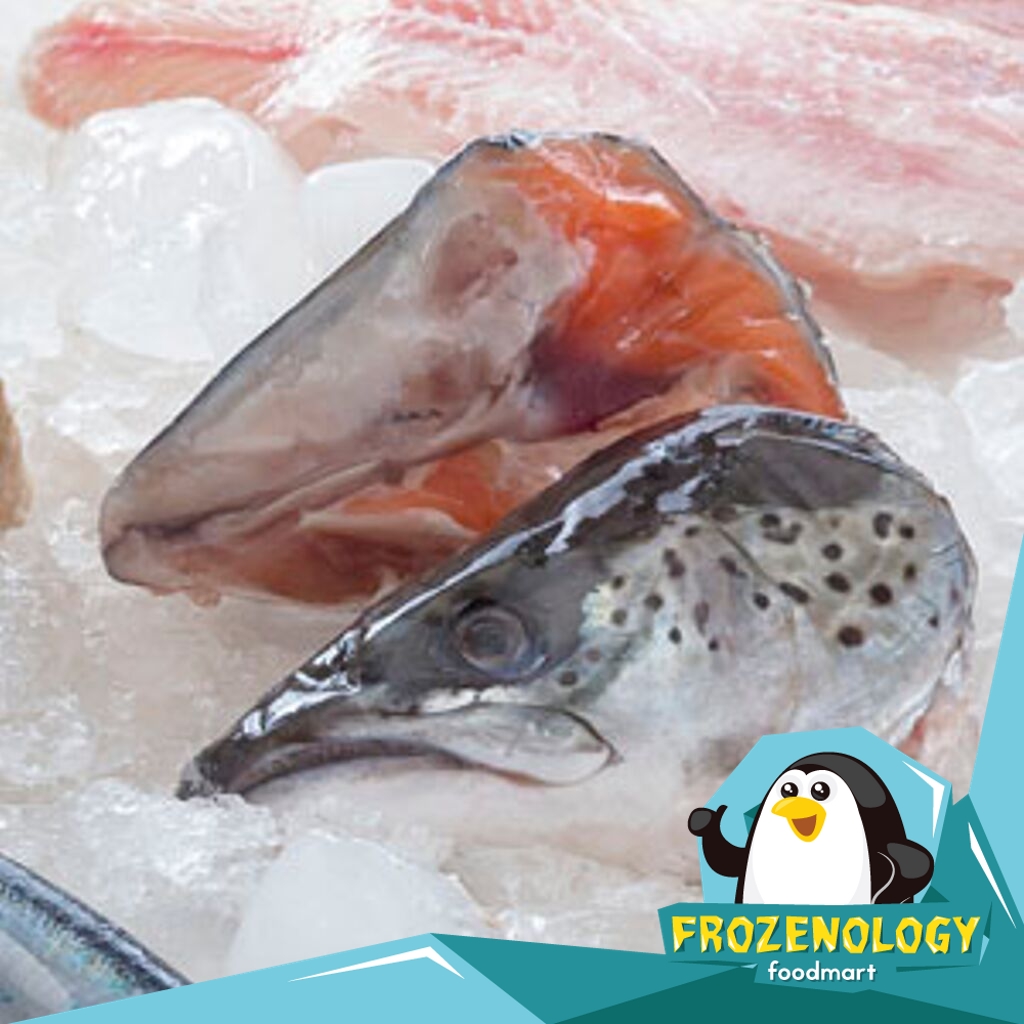 

Kepala Ikan Salmon / Salmon Fish Head Norway Atlantic