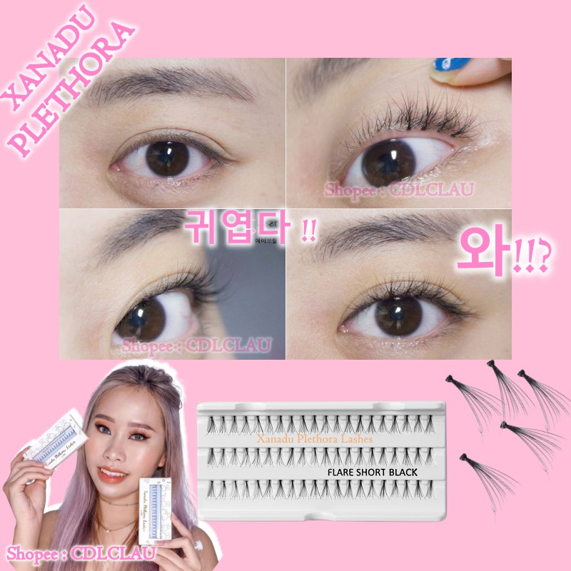 1 KOTAK ISI 60 PCS BULU MATA CABANG - INDIVIDUAL LASHES - Bulumata Human Hair - NATURAL