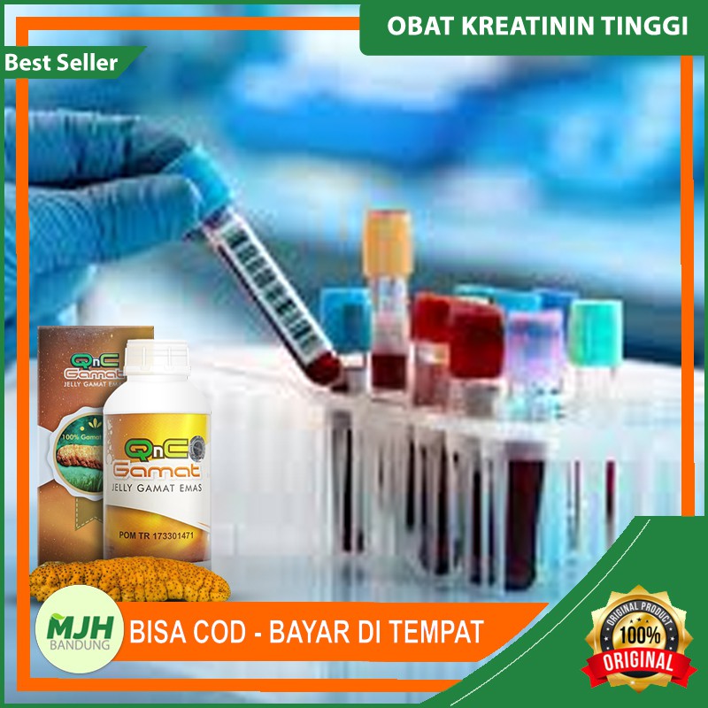 Obat Penurun Kreatinin Tinggi Supaya Ginjal Tidak Rusak