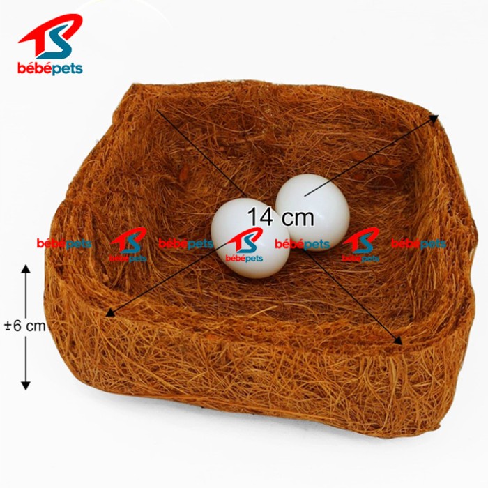 SERAT KELAPA KOTAK SARANG SRABUT SUSUH BERTELUR BURUNG LOVEBIRD PARKIT