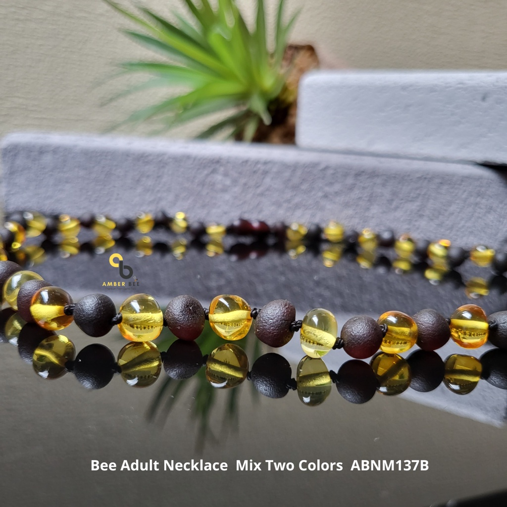 Kalung Amber Dewasa Premium Mix Two Colors by Amberbee ABNM137