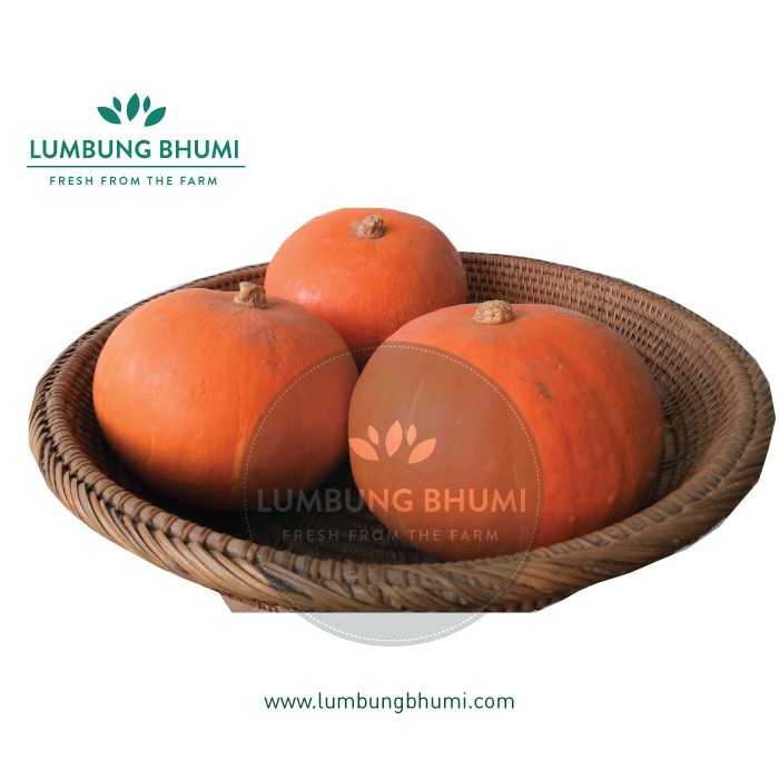

Lumbung Bhumi - Kabocha Kuning 500 Gr ( Sayur Curah )