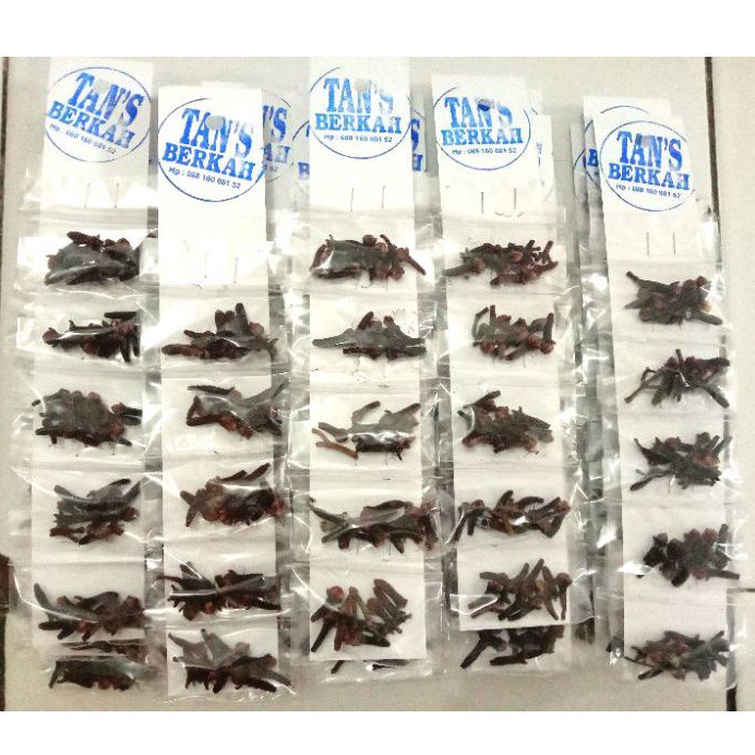 

Cengkeh Rencengan Murah (Bumbu Rentengan) | Berhadiah min belanja 10 renteng