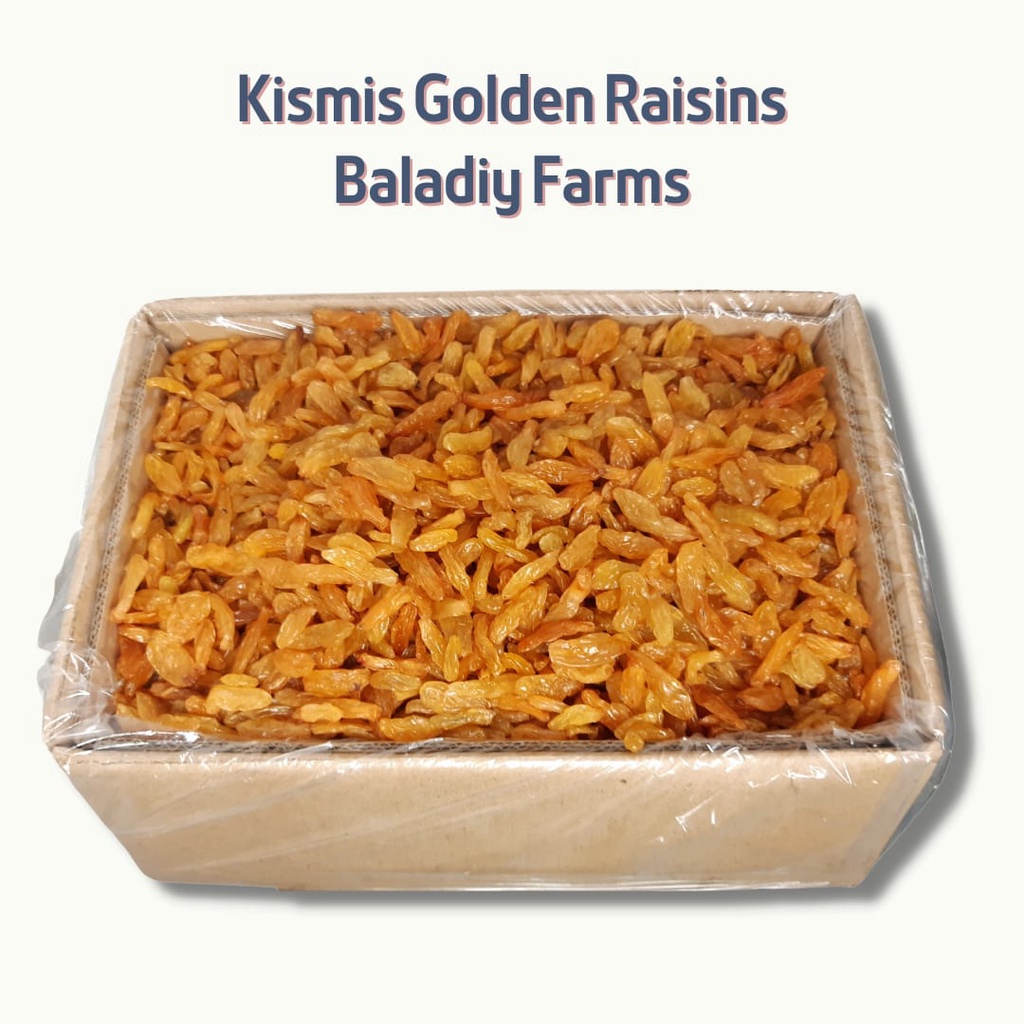 

Kismis Golden Raisin jumbo anggur asam manis premium / Elshanum