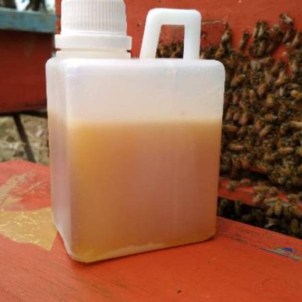 

㊯ [500GR] Madu Randu Murni Raw Honey Madu Mentah Asli セ