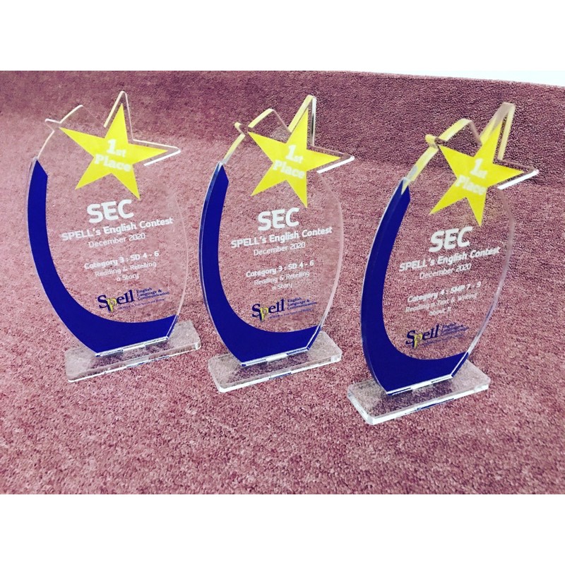 

Cinderamata Akrilik Model bintang