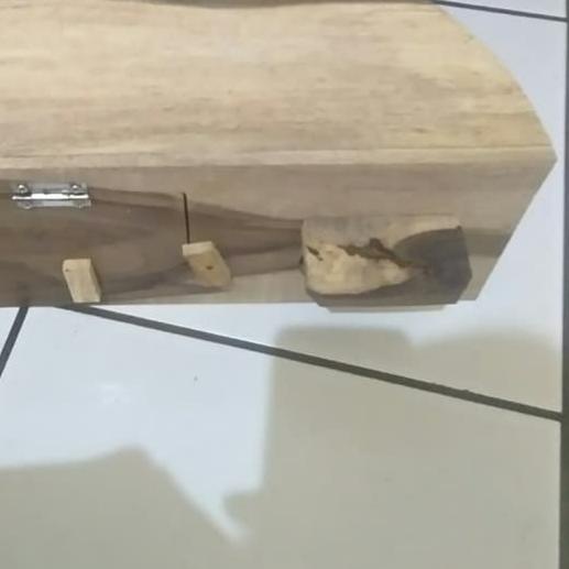 glodok ternak lovebird bulat kapsul-glodokan oval lovebird