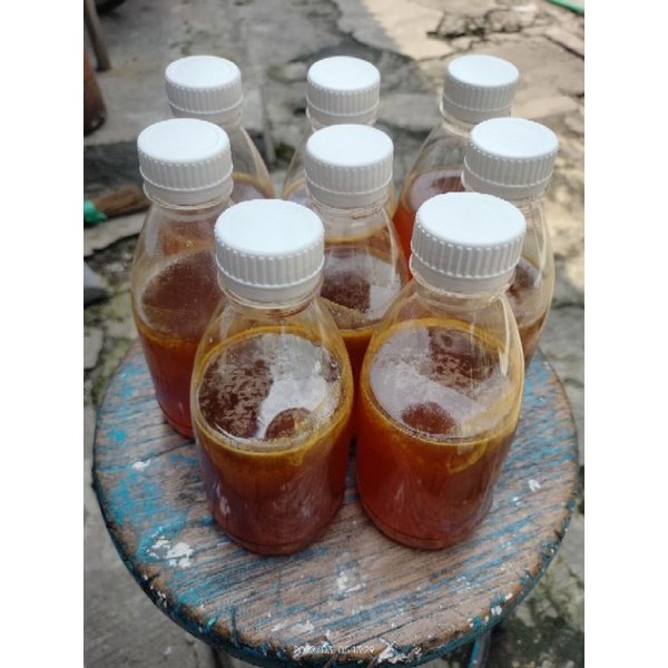 

Madu Hutan Sumatera Raw Honey Apis Cerana