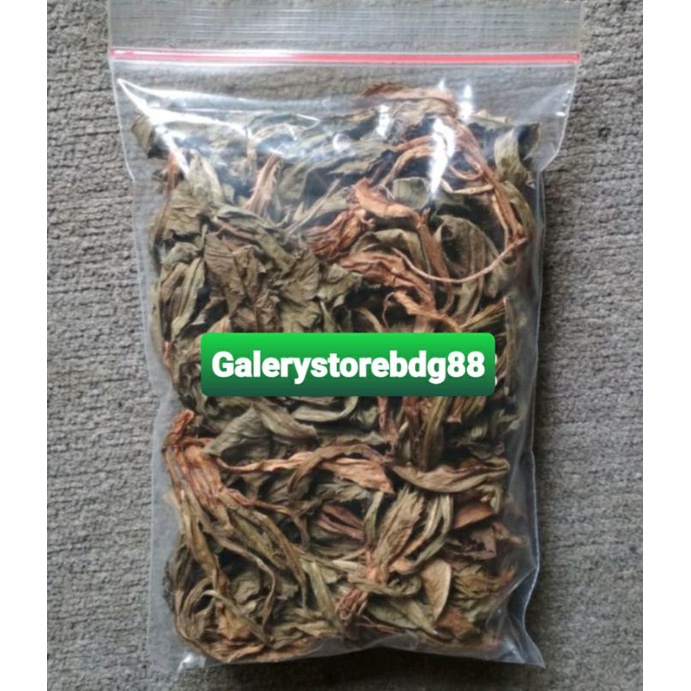

Daun walang sangit kering asli 100 gram