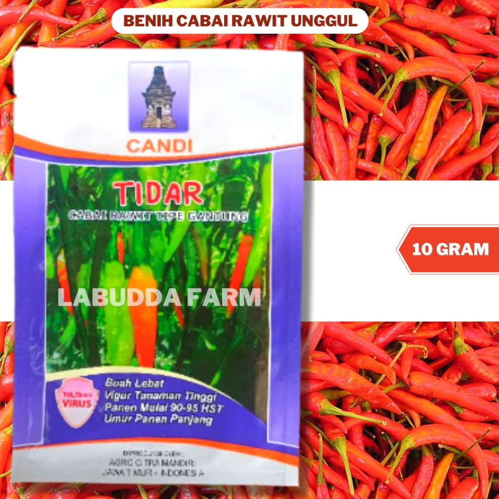Bibit Cabe Tidar Tahan Virus Cap Candi Saudara dr Viral Kemasan 10gr Yg Viral Original Pabrik Candi 
