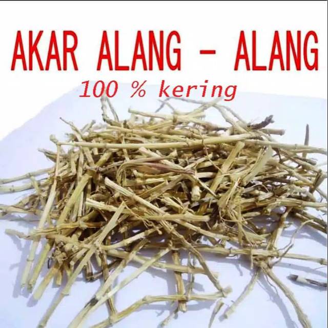 

Akar alang alang/teh herbal/herbal 100 gr