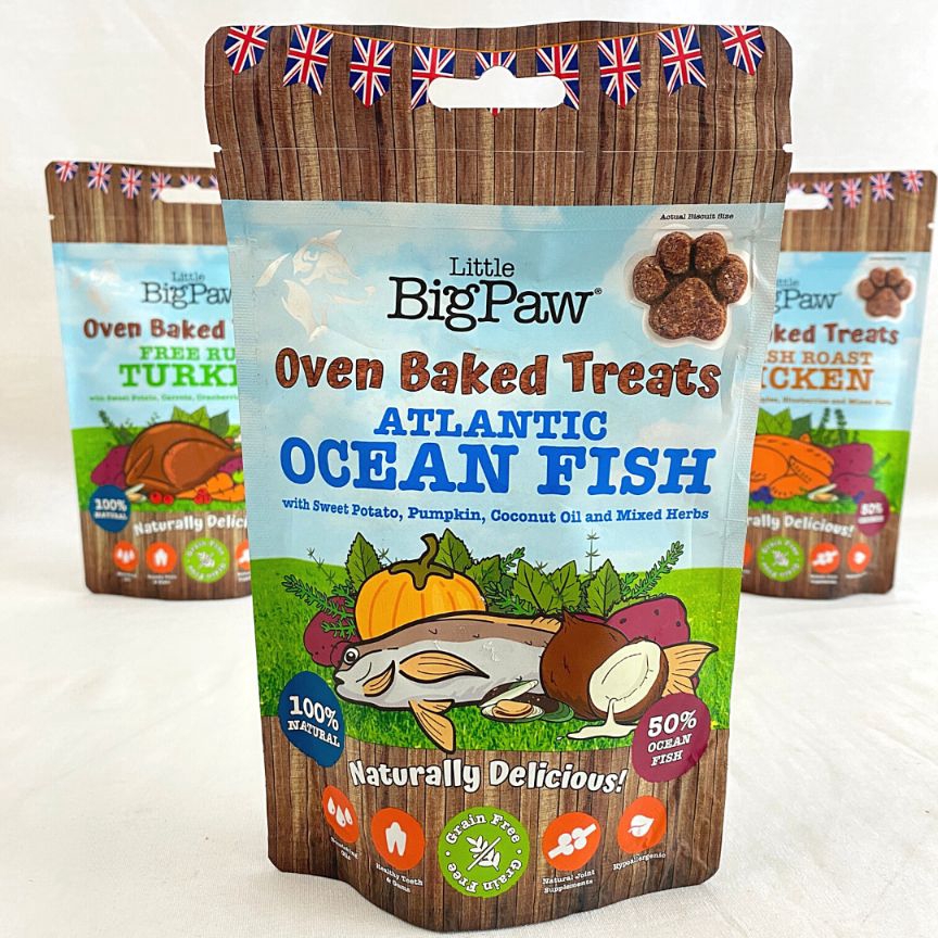 

LITTLEBIGPAW Snack Anjing OVENBAKED Atlantic Ocean Fish Treats 130g