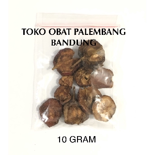 Jual SANCA 10GR BUAH HAW SAN CA SAAN ZAA SANZHA DRIED HAWTHORN | Shopee ...