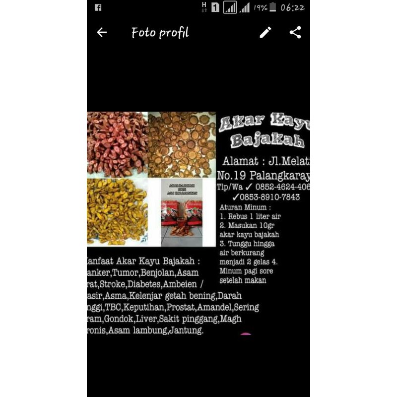 

bajakah kalalawit kuning asli kalimantan kota singkawang