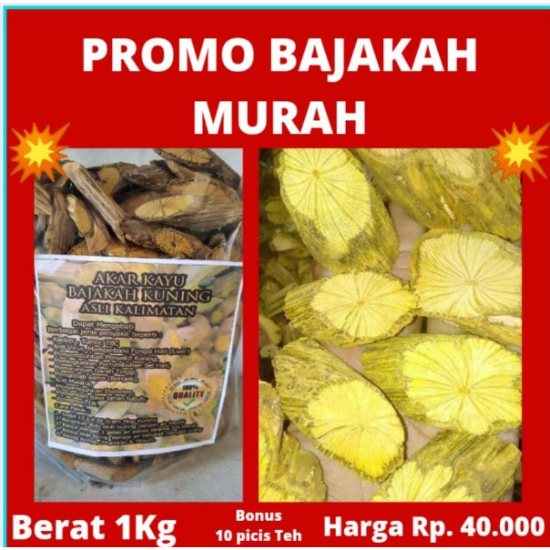 

Bajakah akar kuning asli kalimantan