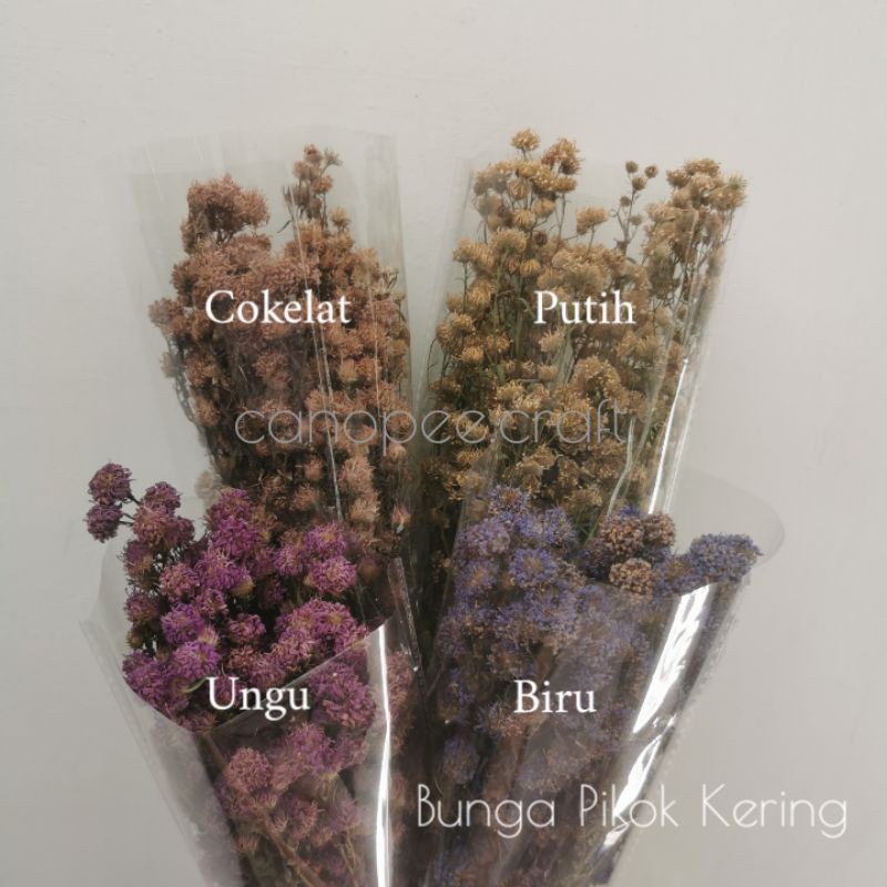 BUNGA KERING PIKOK / DRIED FLOWER PIKOK