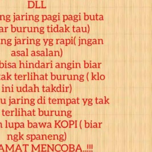 JARING BURUNG PERKUTUT JALA PERKUTUT LOKAL JARING PIKAT KUTUT JARING JEBAK PERKUTUT JALA JEBAK JARIN