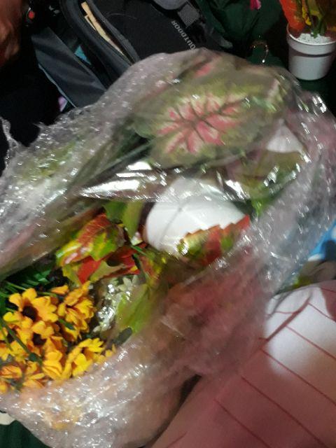 Tanaman Hias Artificial Daun Artificial Pohon Mini Monstera Aglaonema Keladi