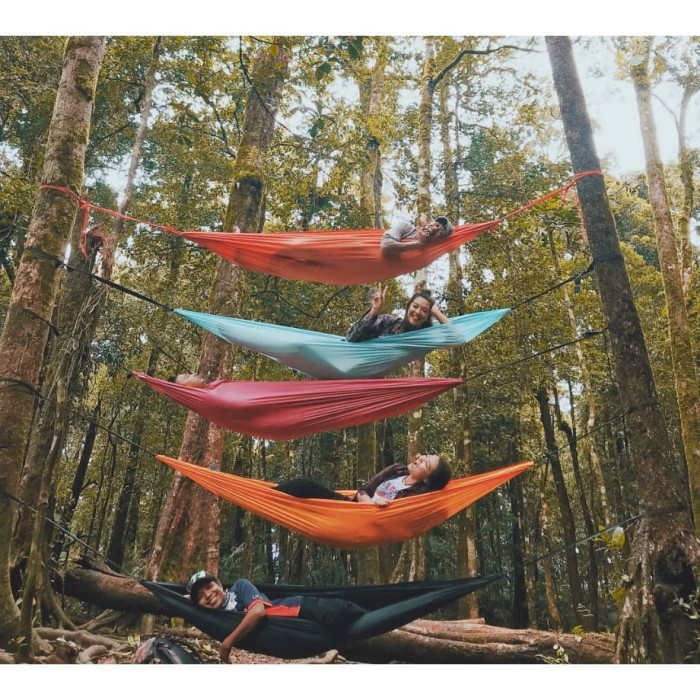 Hammock Single (tempat tidur gantung) ayunan hamock piknik hiking camping aksesoris pecinta alam new