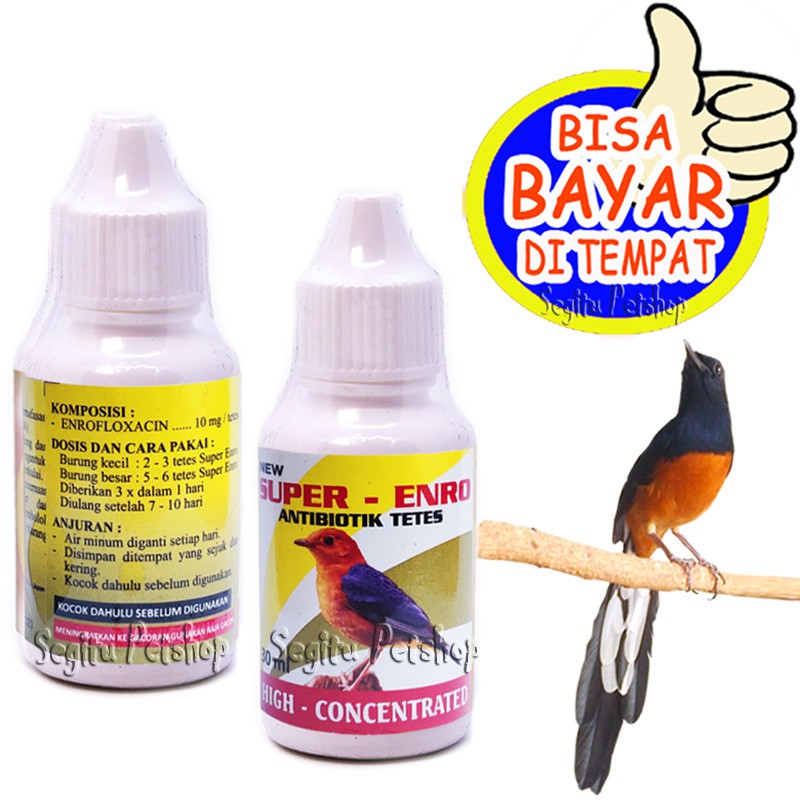 ANTIBIOTIK BURUNG SAKIT MURAI KACER OBAT PLECI LOVE BIRD SUPER ENRO