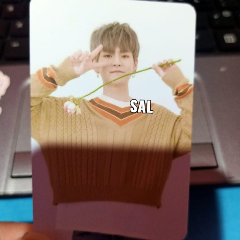 AR PC FULL ALBUM YOSHI