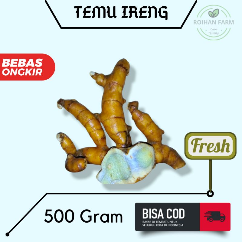 

Temu Ireng / Temu Hitam / Koneng Hideung 500 Gram FRESH [TERMURAH]