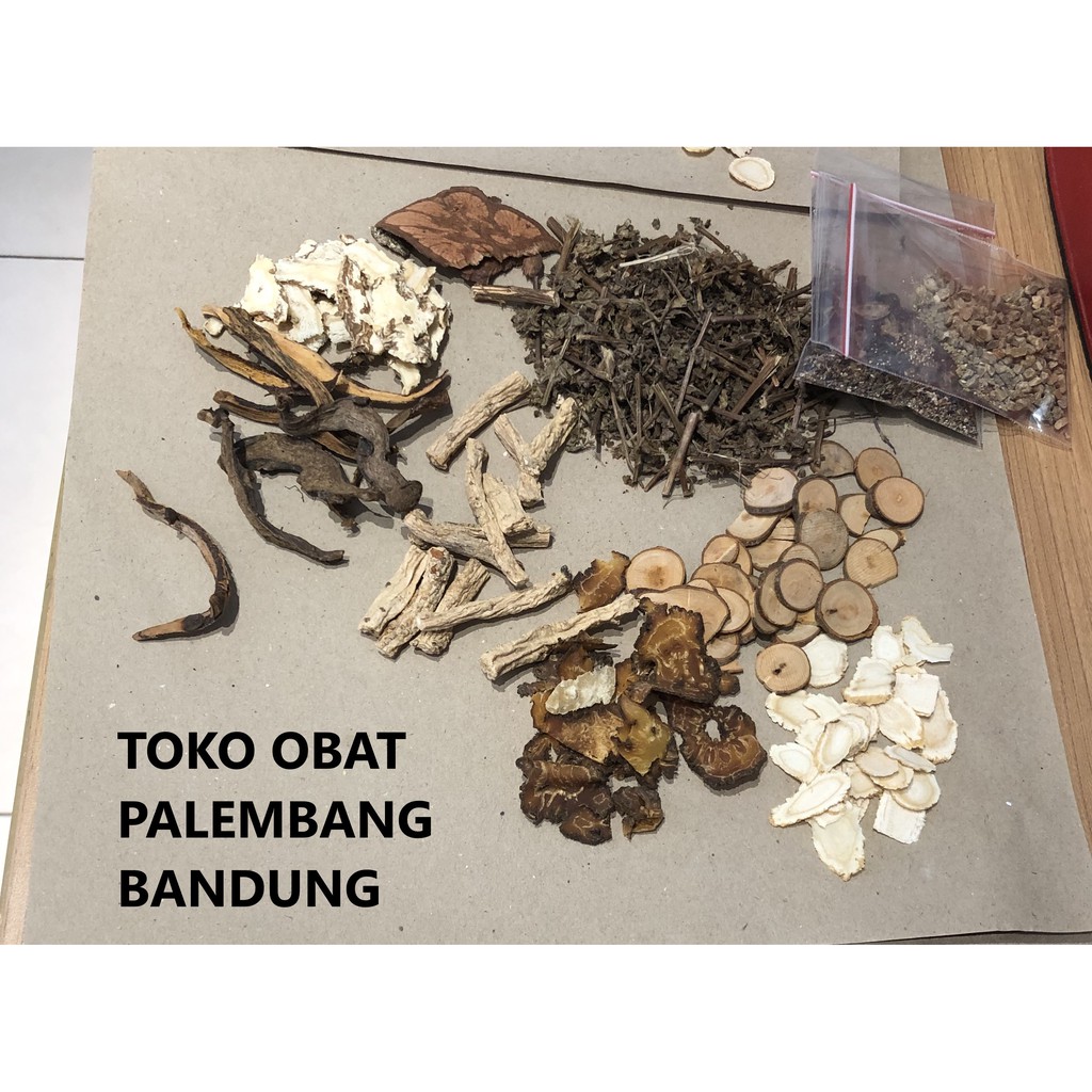 BANGZHU FAYU OBAT TINGGI BADAN BANG ZHU FA YU PANG CU PA I PANG CU PA YI PANGCUPAI BANGZHU FAYU